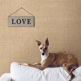 Brewster Home Fashions Warner Textures Warner Grasscloth Resource 2807-6011 Beige Wallpaper