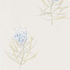 Sanderson Protea Flower China Blue/Canvas Wallpaper