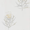 Sanderson Protea Flower Daffodil/Natural Wallpaper