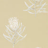 Sanderson Protea Flower Sepia/Champagne Wallpaper