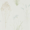 Sanderson Farne Grasses Cream/Sage Wallpaper