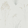 Sanderson Farne Grasses Silver/Ivory Wallpaper