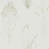 Sanderson Farne Grasses Willow/Pebble Wallpaper