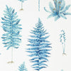 Sanderson Fernery China Blue Wallpaper