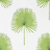 Sanderson Fan Palm Botanical Green Wallpaper
