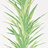 Sanderson Yucca Botanical Green Wallpaper