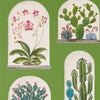 Sanderson Terrariums Botanical Green/Multi Wallpaper