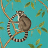 Sanderson Ringtailed Lemur Teal Wallpaper