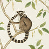 Sanderson Ringtailed Lemur Cream/Olive Wallpaper