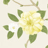 Sanderson Christabel Yellow/Ivory Wallpaper