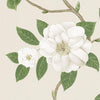 Sanderson Christabel Ivory/Cream Wallpaper