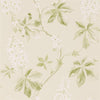 Sanderson Chestnut Tree Lemon/Lettuce Wallpaper