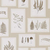 Sanderson Fern Gallery Linen/Sepia Wallpaper