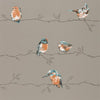 Harlequin Perisco Tangerine/Duckegg Wallpaper