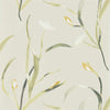 Harlequin Saona Ochre/Linen Wallpaper