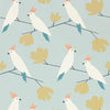 Scion Love Birds Candy Wallpaper