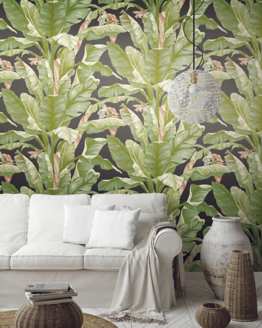 Banana Leaf Wallpaper Murals  Wallmur
