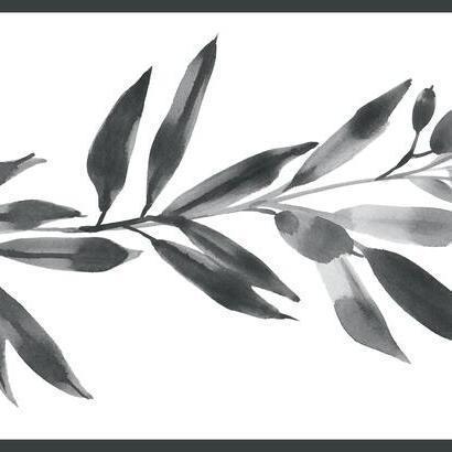 York Wallcoverings Olive Branch Black & White Wallpaper