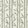 Antonina Vella Bamboo Grove Green/White Wallpaper