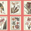 Ashford House Botany Pink Wallpaper