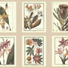 Ashford House Botany Gray Wallpaper