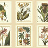Ashford House Botany Beige Wallpaper