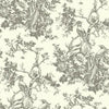 Ashford House Exotic Plumes Gray/White Wallpaper
