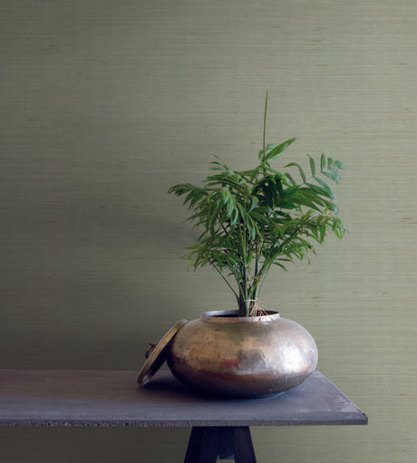 Candice Olson Plain Sisals Spa Wallpaper