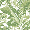 York Palm Silhouette Green Wallpaper