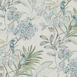 York Handpainted Songbird Turquiose Wallpaper