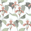 York Lady Slipper Peach/Gray Wallpaper
