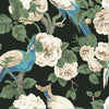 York Garden Plume Black/Blue/Cream Wallpaper