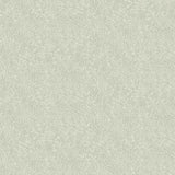 Rifle Paper Co. Champagne Dots Beige Metallic Wallpaper