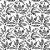 York Wallcoverings Chokeberry Block Print Black & White Wallpaper