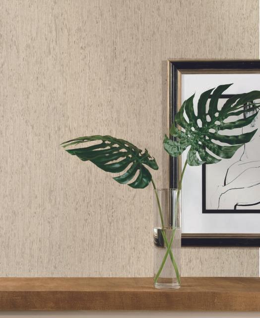 York Wallcoverings Rugged Bark Off White Wallpaper