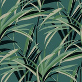 York Wallcoverings Tropical Paradise Green & Teal Wallpaper