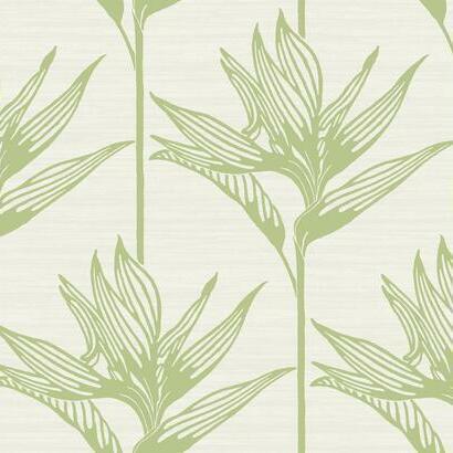 York Wallcoverings Bird Of Paradise Green Wallpaper