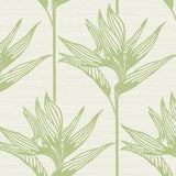 York Wallcoverings Bird Of Paradise Green Wallpaper