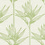 York Wallcoverings Bird Of Paradise Green Wallpaper