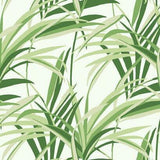 York Wallcoverings Tropical Paradise Green & White Wallpaper
