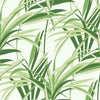 York Tropical Paradise Green/White Wallpaper
