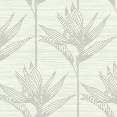 York Wallcoverings Bird Of Paradise Grey Wallpaper