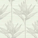York Wallcoverings Bird Of Paradise Grey Wallpaper