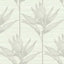 York Wallcoverings Bird Of Paradise Grey Wallpaper
