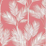 York Wallcoverings King Palm Silhouette Coral Wallpaper