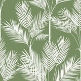 York Wallcoverings King Palm Silhouette Green Wallpaper