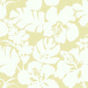 York Hibiscus Arboretum Yellow Wallpaper