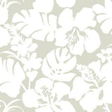 York Wallcoverings Hibiscus Arboretum Cream Wallpaper