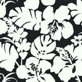 York Wallcoverings Hibiscus Arboretum Black Wallpaper