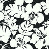 York Hibiscus Arboretum Black Wallpaper